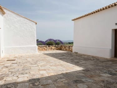 Wide shot of an empty whitewashed Provençal courtyard at noon, sunlight cutting diagonally across worn limestone pavers, a low stone wall with a glimpse of lavender beyond, no people, no furniture, diffused sky above