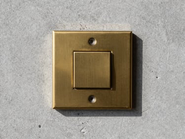 Macro shot of a flush-mounted custom brass switchplate on a raw concrete wall, crisp shadows, cool daylight, sharp focus, 35mm