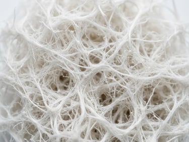 Macro photograph of dense, engineered mycelium fiber structure in a bright clinical laboratory, white background, high-contrast scientific detail.