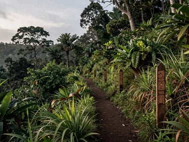 Overcast morning light over a forested hillside in Papua, a narrow trail marked with traditional boundary markers carved from wood, dense understory vegetation, no people present
