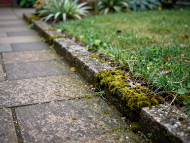 Ground-level detail shot of a stone pathway and garden border beside a house, moss removed from the stone surface, surrounding lawn and plants healthy, soft diffused morning light, no equipment