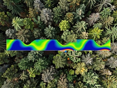 Top-down nadir perspective of dense forest canopy with spectral curves overlay for vegetation analysis