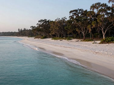 Wide shot of Kashid beach at 7am, clean white sand curving in a shallow arc, the tree line of casuarinas along the right edge, calm turquoise shallows in the foreground, soft diffuse morning light, completely empty beach