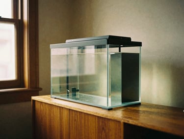 Warm editorial close-up of a sunlit living room featuring a minimalist glass aquarium on a wooden credenza, rich organic tones, 35mm film