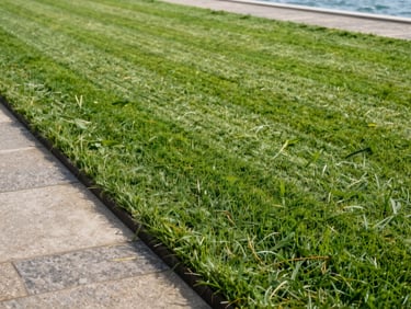 Freshly mowed coastal lawn in morning light — clean mowing lines, neatly edged border against a stone path, healthy green turf, no people