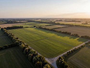 Sweeping drone photography of a premium land plot in Van, showing clear boundaries, beautiful surrounding landscape under golden hour light