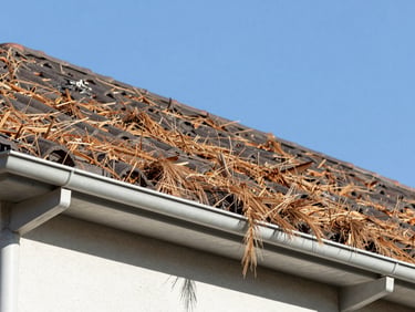 Wide-angle shot of a residential roofline with gutters sagging under the weight of packed pine needles and debris