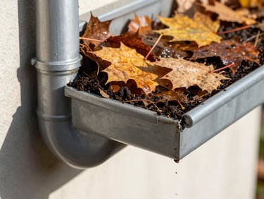 Close-up macro shot of a gutter overflowing with wet autumn leaves and dark soil, clogged downspout, high contrast, bright daylight