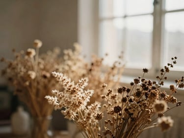 Soft-focus natural elements of dried botanicals in a warm, light-filled room, shallow depth of field, warm editorial