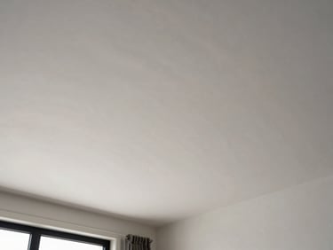 Low-angle shot of a perfectly smooth, matte white plastered ceiling and upper wall in a spacious Dutch canal house, natural light casting soft shadows.