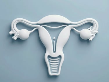 Close-up of a medical diagram of the female reproductive system, clean lines, 35mm lens