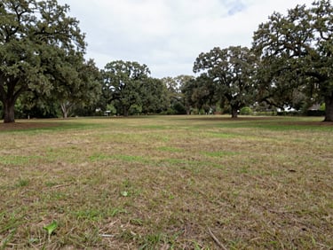 Wide-angle view of a raw grassy lot with mature oak trees under a soft overcast sky, clear natural boundaries, soil texture visible.