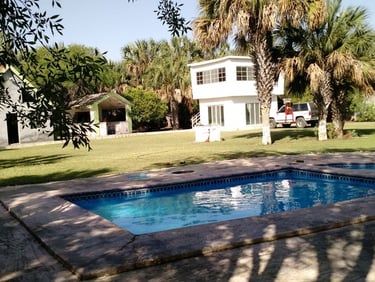 Un patio trasero con piscina y palmeras tropicales, con dos casas blancas sobre un césped verde.
