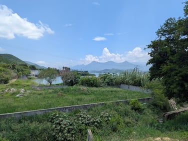 Un paisaje pintoresco con un campo de hierba que domina un tranquilo lago azul rodeado de exuberante
