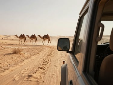 View from a moving vehicle window looking out at a dusty desert landscape with camels in the distance, warm afternoon light