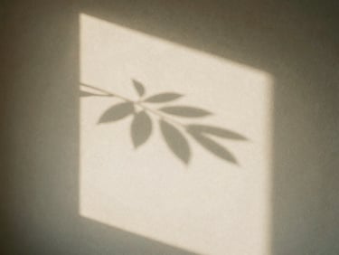 A soft shadow cast on a textured plaster wall by a leafy branch, warm daylight, quiet mood