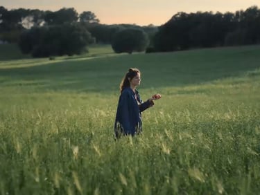 ALDI Frische Campaign 360 platform 