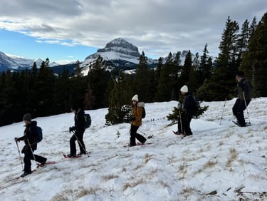 Adventure Club in Crowsnest Pass. Not much snow at the top, but lots of snow leading up to this poin