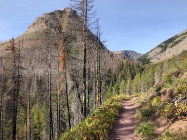 Trail going up to Rowe Lakes.