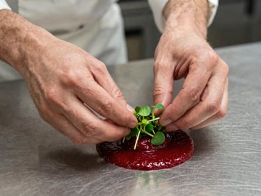 Chef's hands carefully plating a delicate microgreen garnish on a rich crimson sauce, stainless steel kitchen background, soft focus