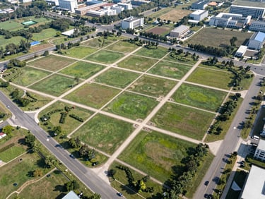 High-angle view of Green Valley plotted development, showing clean demarcated plots, paved roads, and landscaped parks.