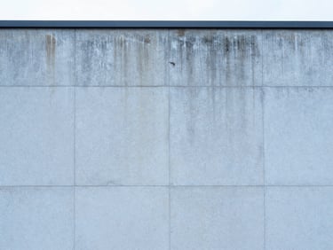 Avant : Façade en pierre de taille noircie par la pollution atmosphérique et l'humidité, traces sombres verticales
