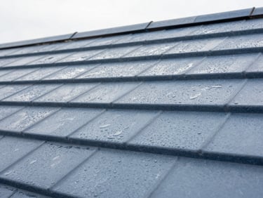 Close-up of clean slate roof tiles showing water-beading hydrofuge effect under bright overcast daylight, sharp focus, technical architectural shot