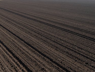 High-angle environmental shot of working agricultural fields, soil texture visible, morning sun