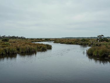 Overcast coastal marshland near Mount Pleasant, soft natural light, quiet water reflecting grey sky, minimal composition.