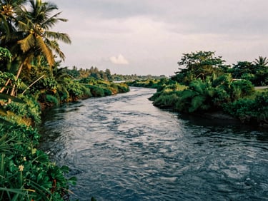 Serene river flowing through lush green coastal landscape in Aceh, soft overcast maritime daylight, rich textures, 35mm.