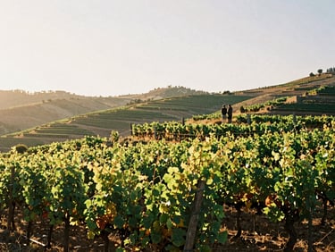Panoramic view of a vineyard in the Douro Valley at golden hour, a couple silhouetted in the distance enjoying the view, warm editorial photography, authentic Portuguese atmosphere, 35mm film aesthetic