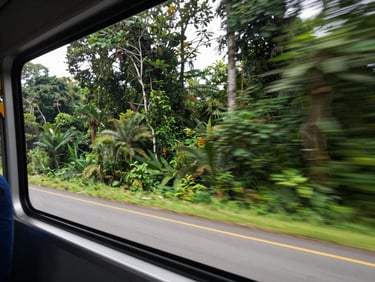 Panoramic view from the side window of a moving coach showing Guiana jungle canopy and a winding road ahead, interior edge of the coach seat visible at lower left, mid-morning diffuse daylight, no passengers in frame