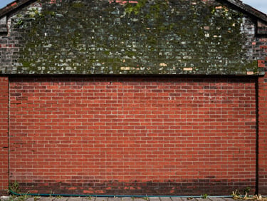Wide environmental shot, midday sun, a brick house facade — upper half stained with dark green algae and weathering, lower half freshly cleaned to bright red brick. High-pressure hose visible at the base. No people, purely documentary framing.