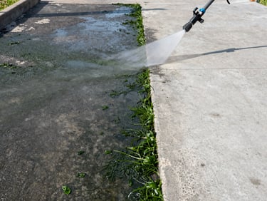 Close medium shot, bright midday sun, a driveway surface half covered in dark grey-green algae and grime on the left, the right side freshly blasted clean to pale concrete — high-pressure water jet visible at the boundary. Documentary framing, no people.