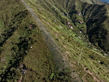Wide-angle drone shot of a green mountain slope stabilized with geomat grid, natural sunlight, crisp textures of soil and vegetation.