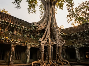 Low-angle cinematic shot of ancient stone temple ruins in Cambodia, roots of banyan trees wrapping around columns, warm golden sunset light filtering through leaves.