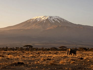Wide panoramic shot of Mount Kilimanjaro rising above the dry Amboseli plains, a single elephant walking in the distant right third, dramatic golden hour light.
