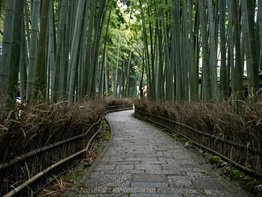 Quiet stone path winding through a mossy bamboo forest in Kyoto, soft filtered green light, no people.