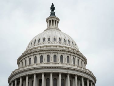 Architectural detail of the Capitol dome columns under overcast sky, desaturated cool tones, high contrast, 35mm