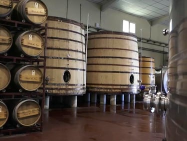 Vile la Finca Bodega Vinos de León