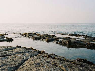 Calm ocean water receding from a rocky shore at low tide, exposing wet granite and seaweed, soft light