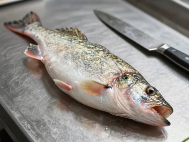 Professional kitchen context: a single pike-perch fillet on a cold steel prep surface, overhead diffused light, flesh texture clearly visible — firm, pale, no blemish — knife resting alongside, no hands, no sauce