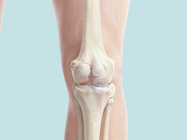 Macro shot of a healthy human knee joint in motion, subtle light, natural daylight, clean medical illustration style, pastel background.