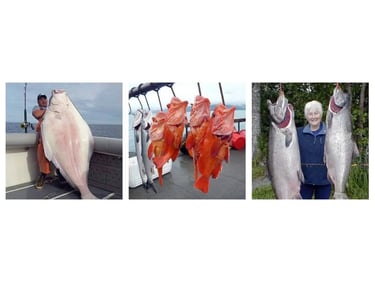 Cook Inlet Cabins Fishing