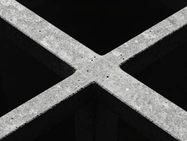 Stark minimalist macro photography of crystalline bio-scaffolds intersecting with raw concrete under harsh directional light, sharp focus, high-contrast monochrome