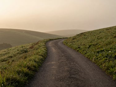 A quiet path winding through soft green hills under a misty morning sky, representing a gentle transition.