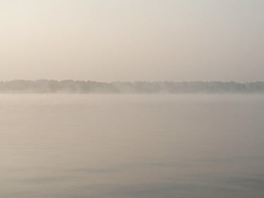 Wide panoramic view of a silent foggy lake at dawn, soft desaturated sage water, misty horizon, minimalist editorial photography, soft diffused daylight
