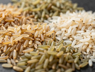 Macro shot of assorted raw rice varieties including sella, steam, and parboiled basmati on a dark background, warm lighting, 35mm