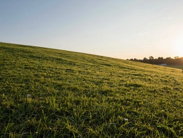 Wide shot of a clean, cleared land plot ready for construction, gentle green slope, golden hour light.