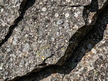 Extreme close-up of weathered stone and lichen on a cliffside, harsh midday shadows, tactile texture, sharp focus.